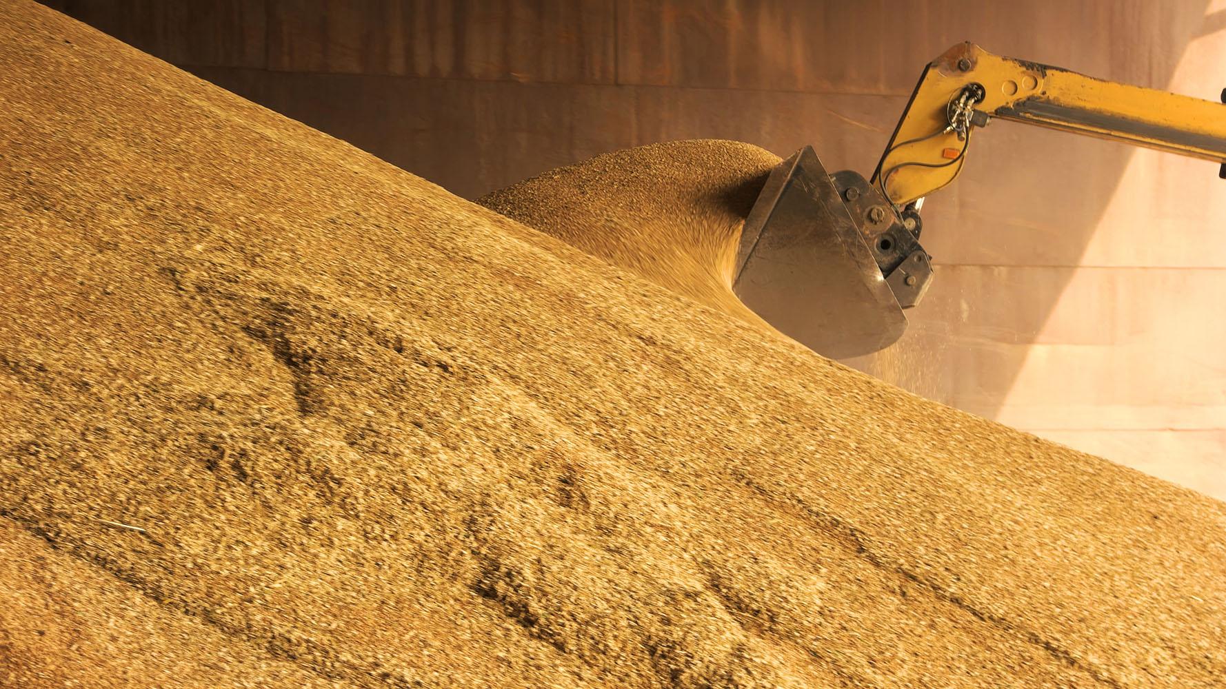 Bulk barley handling operation