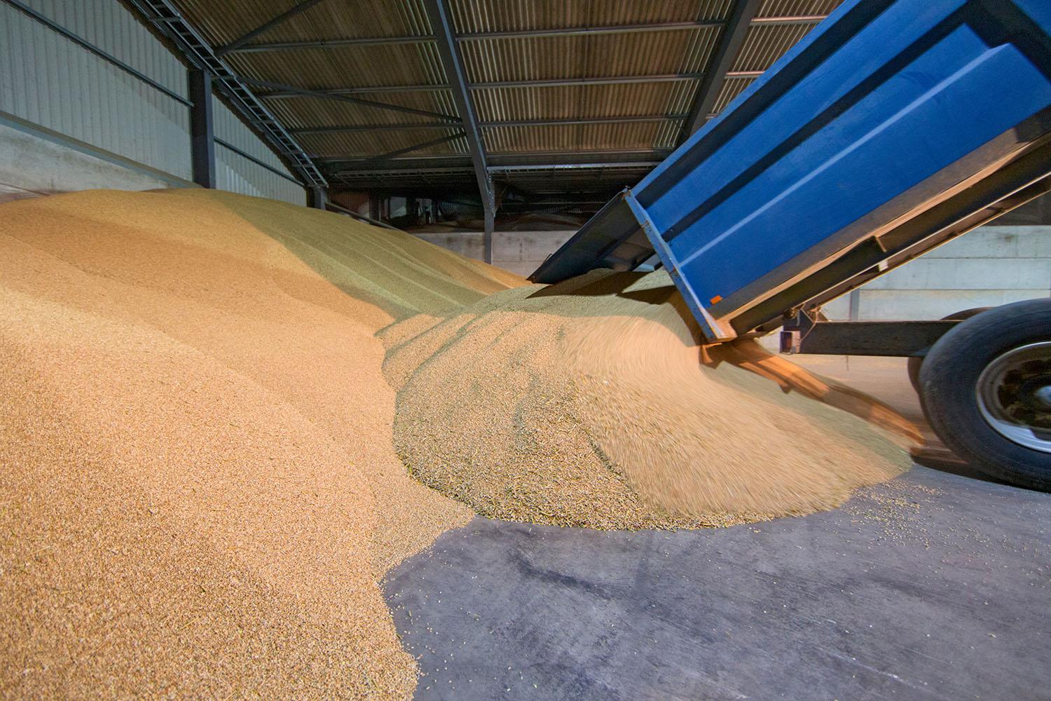 Bulk grain unloading into storage