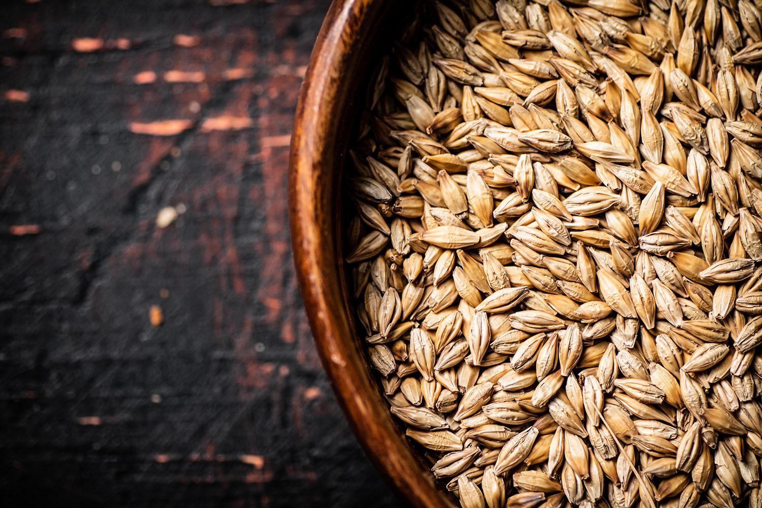 Barley grain in a wooden bowl