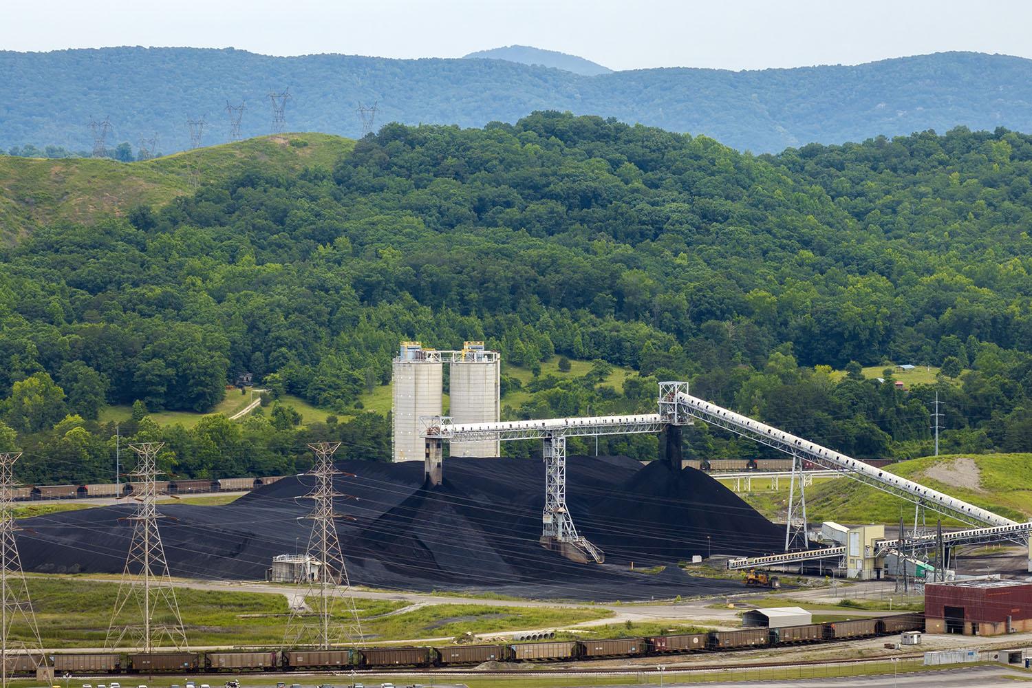 Coal stock and handling infrastructure for power generation