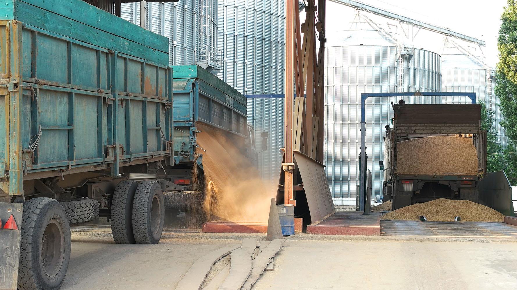 Bulk grain trucks unloading near storage silos
