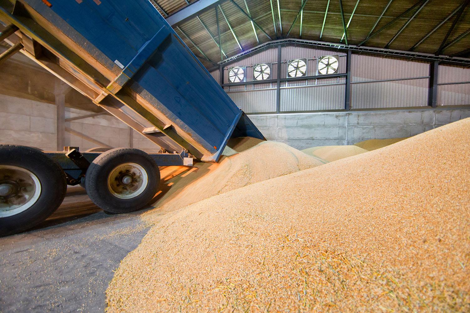 Bulk corn loading operation