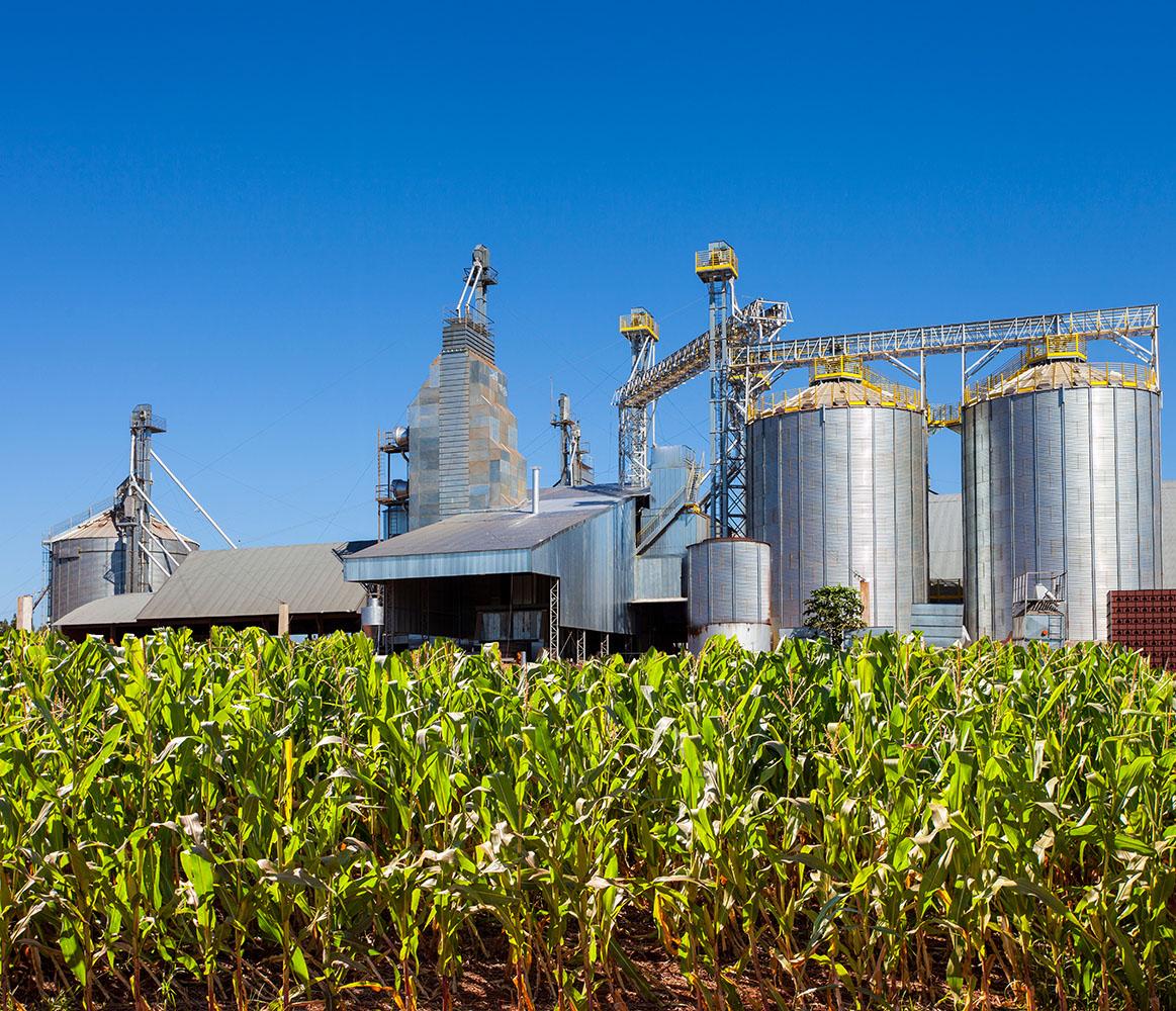 Silo storage for bulk corn