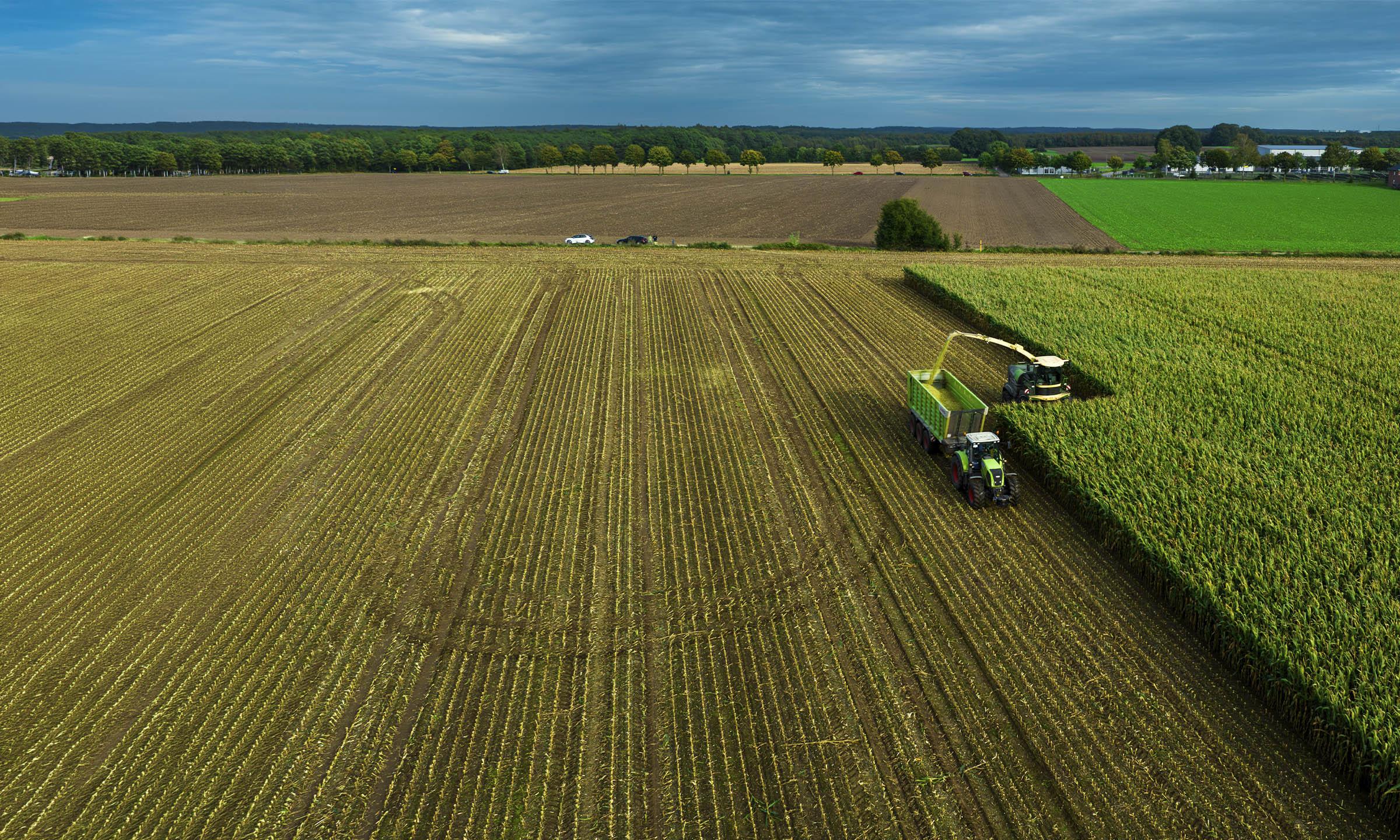 Agricultural fields at harvest