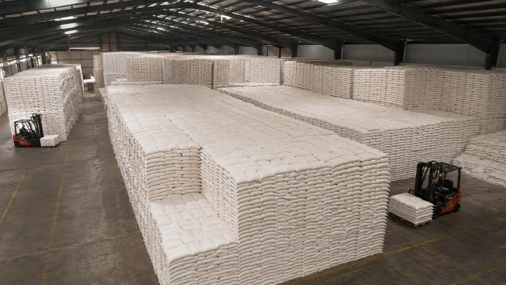 Bagged sugar arranged in a warehouse