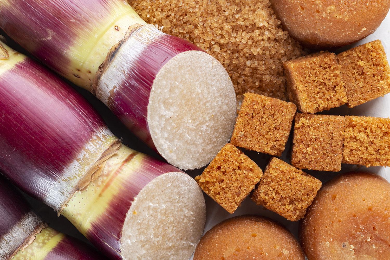 Raw brown cane sugar with cut sugar cane