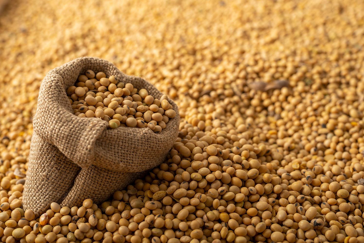 Bagged soybean supply