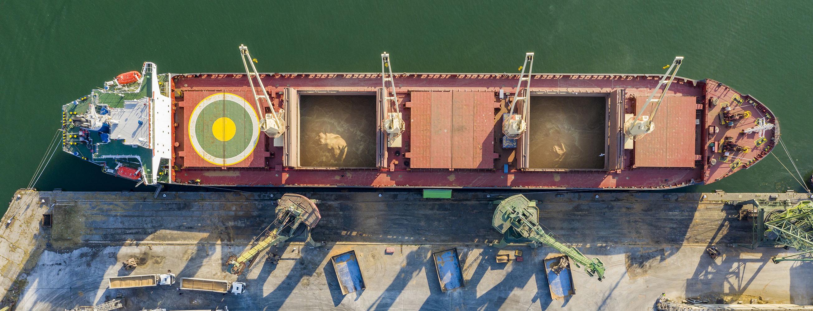 Port infrastructure handling bulk soybean supply