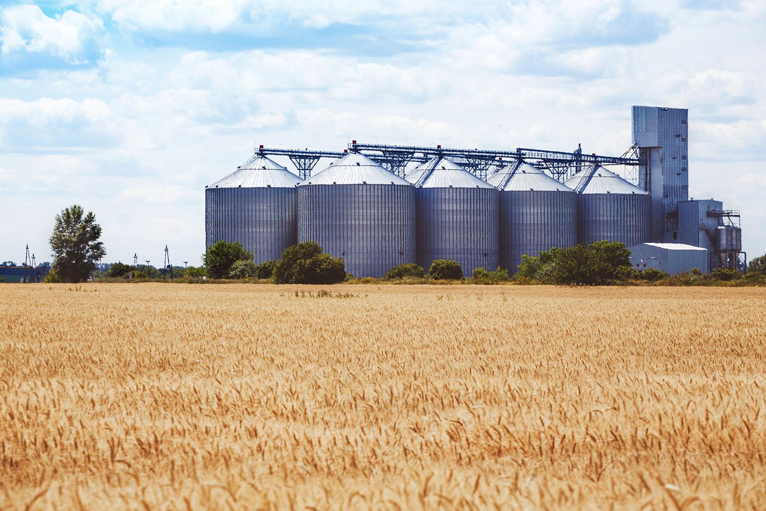 Grain silos used for wheat storage